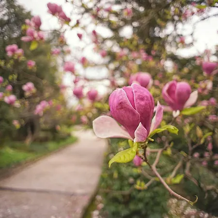 Nostalgie Lägenhet Opatija
