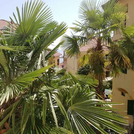 Nostalgie 오파티아