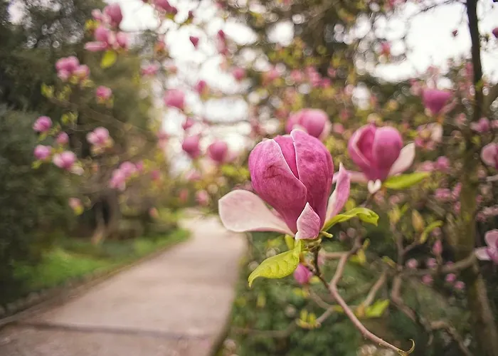 Nostalgie Daire Opatija